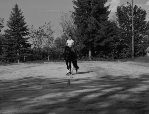 TRAINING